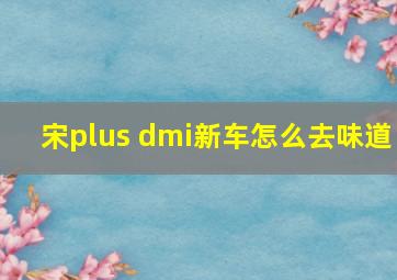 宋plus dmi新车怎么去味道